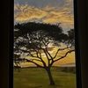 devinpeterson19